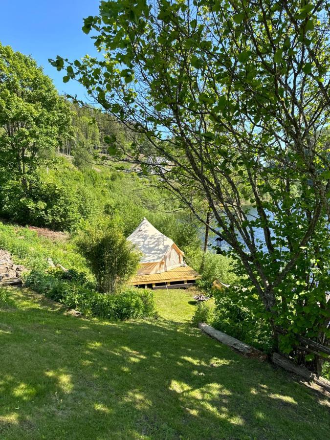 Glamping On Idyllic Lake, Paddle Boards & Rowboat بورشغرون المظهر الخارجي الصورة